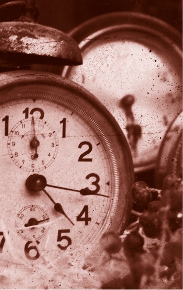 Иллюстрация к книге — Похитители костей [i_026.jpg]