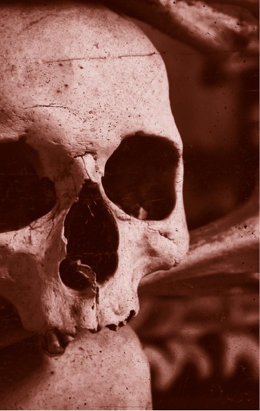 Иллюстрация к книге — Похитители костей [i_029.jpg]