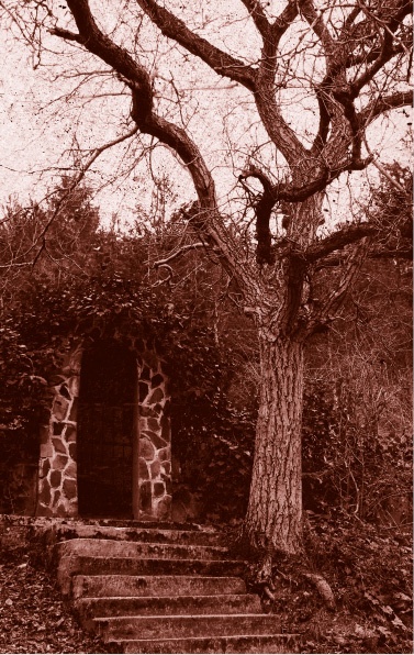 Иллюстрация к книге — Похитители костей [i_041.jpg]