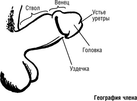 Иллюстрация к книге — #Секреты Королевы. Настольная книга искусной любовницы [i_056.jpg]