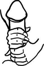 Иллюстрация к книге — #Секреты Королевы. Настольная книга искусной любовницы [i_057.jpg]