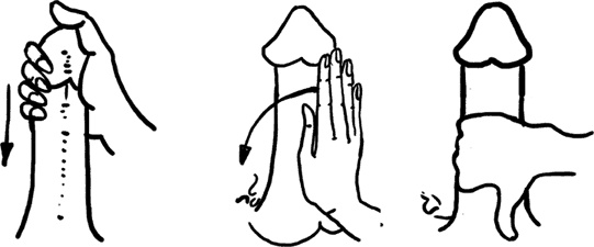 Иллюстрация к книге — #Секреты Королевы. Настольная книга искусной любовницы [i_066.jpg]