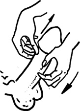 Иллюстрация к книге — #Секреты Королевы. Настольная книга искусной любовницы [i_068.jpg]