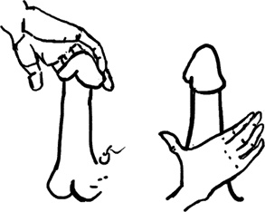 Иллюстрация к книге — #Секреты Королевы. Настольная книга искусной любовницы [i_071.jpg]