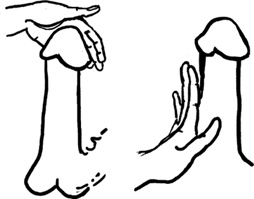 Иллюстрация к книге — #Секреты Королевы. Настольная книга искусной любовницы [i_073.jpg]