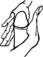 Иллюстрация к книге — #Секреты Королевы. Настольная книга искусной любовницы [i_076.jpg]