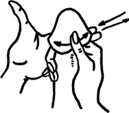 Иллюстрация к книге — #Секреты Королевы. Настольная книга искусной любовницы [i_077.jpg]