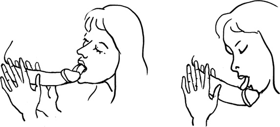 Иллюстрация к книге — #Секреты Королевы. Настольная книга искусной любовницы [i_085.jpg]