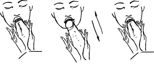 Иллюстрация к книге — #Секреты Королевы. Настольная книга искусной любовницы [i_087.jpg]