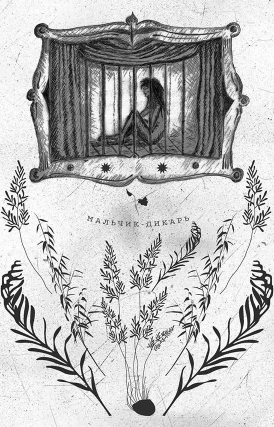 Иллюстрация к книге — Книга домыслов [i_001.jpg]