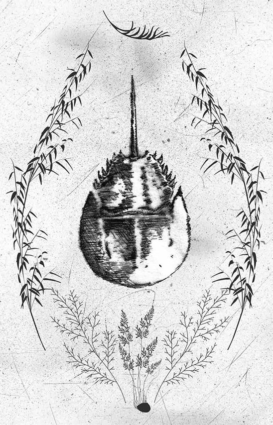 Иллюстрация к книге — Книга домыслов [i_011.jpg]