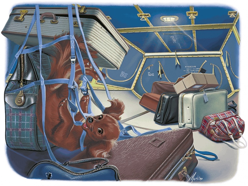 Иллюстрация к книге — Маруся и весёлая поездка: на самолёте, на поезде [i_014.jpg]