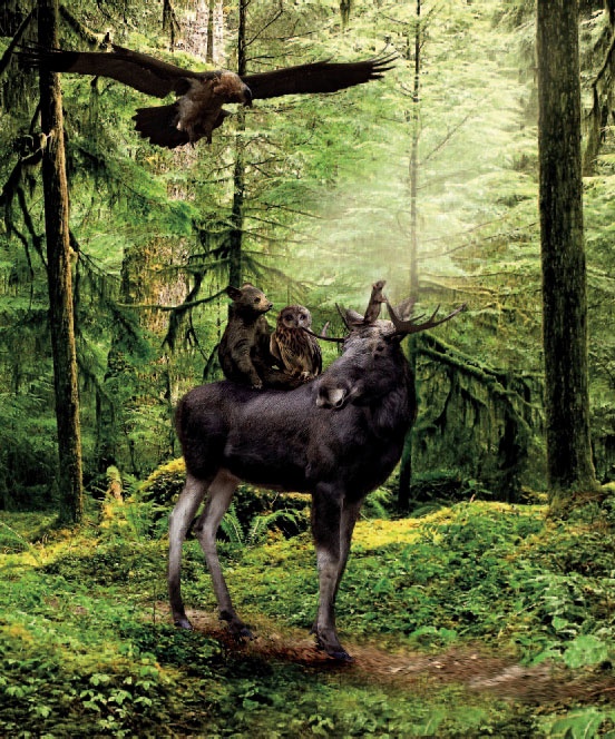 Иллюстрация к книге — Сказки Дальних дорог [_4.jpg]