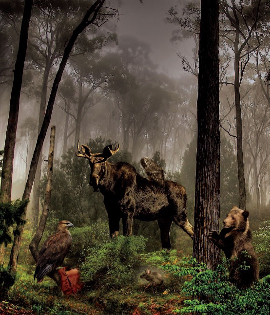 Иллюстрация к книге — Сказки Дальних дорог [_5.jpg]