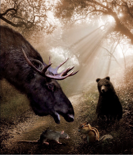 Иллюстрация к книге — Сказки Дальних дорог [_6.jpg]