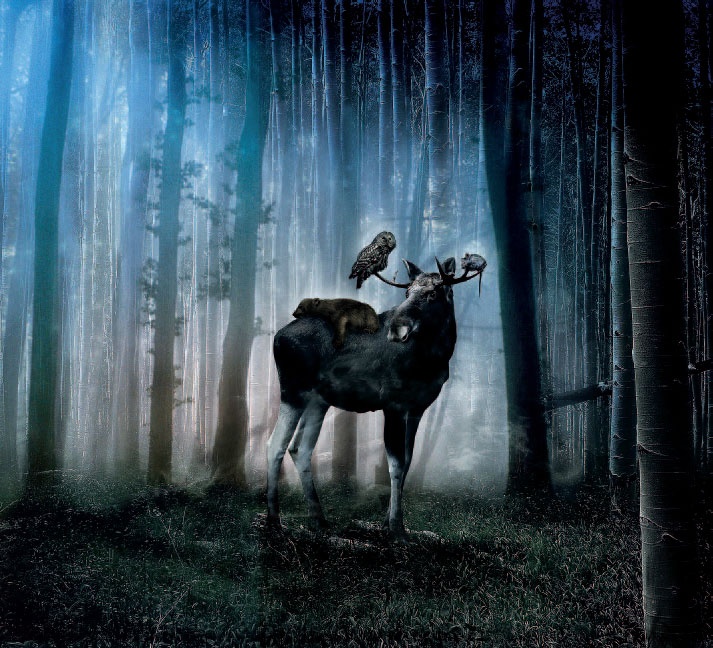 Иллюстрация к книге — Сказки Дальних дорог [_7.jpg]