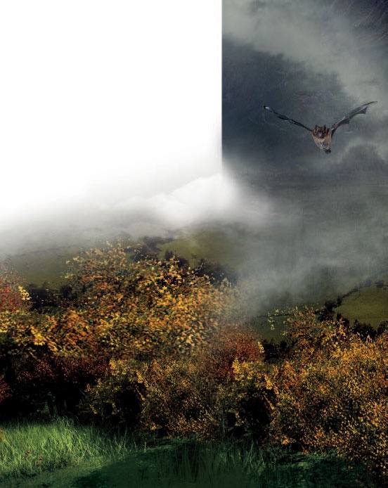 Иллюстрация к книге — Сказки Дальних стран [_6.jpg]