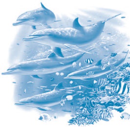 Иллюстрация к книге — Сказки Дальних стран [_8.jpg]