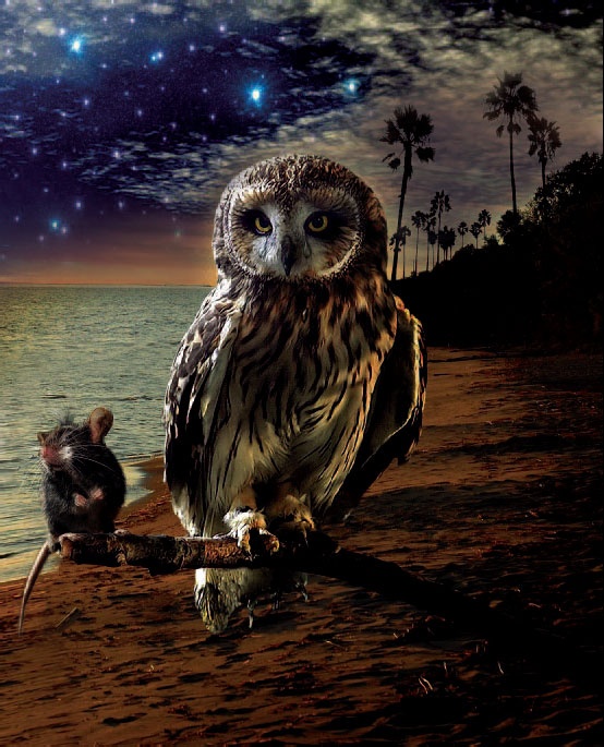 Иллюстрация к книге — Сказки Дальних стран [_9.jpg]