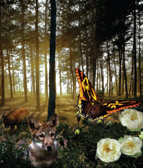 Иллюстрация к книге — Сказки Дальнего леса [_4.jpg]