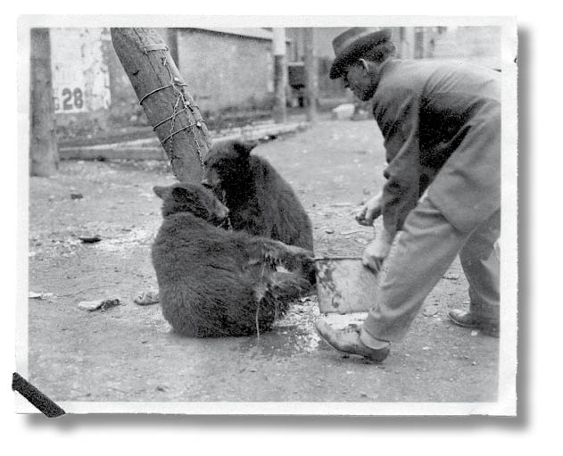 Иллюстрация к книге — Библиотека душ. Нет выхода из дома странных детей [i_032.jpg]