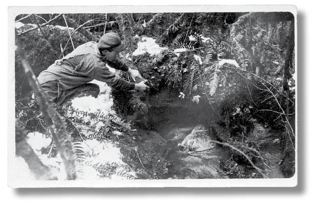 Иллюстрация к книге — Библиотека душ. Нет выхода из дома странных детей [i_044.jpg]