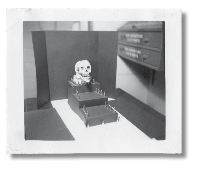 Иллюстрация к книге — Библиотека душ. Нет выхода из дома странных детей [i_049.jpg]