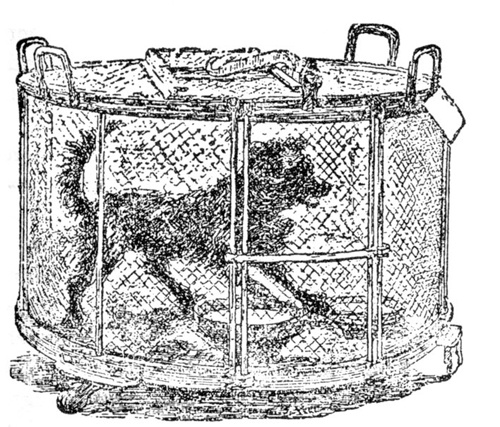 Иллюстрация к книге — Империя хирургов [_2.jpg]