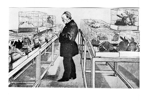 Иллюстрация к книге — Империя хирургов [_4.jpg]