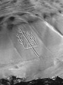 Иллюстрация к книге — Опрокинутый мир. Тайны прошлого – загадки грядущего. Что скрывают архивы Спецотдела НКВД, Аненербе и Верховного командования Вермахта [i_064.jpg]