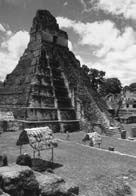 Иллюстрация к книге — Опрокинутый мир. Тайны прошлого – загадки грядущего. Что скрывают архивы Спецотдела НКВД, Аненербе и Верховного командования Вермахта [i_088.jpg]