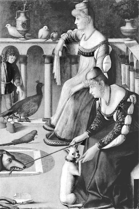 Иллюстрация к книге — Секреты женщин Ренессанса [i_010.jpg]