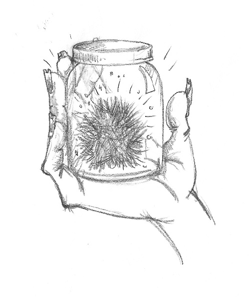 Иллюстрация к книге — Котёнок Амелия, или Колокольчик-невидимка [i_040.jpg]