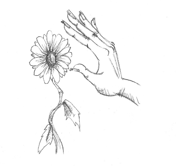 Иллюстрация к книге — Котёнок Амелия, или Колокольчик-невидимка [i_061.jpg]