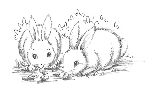 Иллюстрация к книге — Хомячок Оливия, или Рецепт волшебства [i_004.jpg]