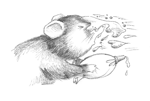 Иллюстрация к книге — Хомячок Оливия, или Рецепт волшебства [i_011.jpg]