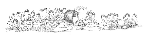 Иллюстрация к книге — Хомячок Оливия, или Рецепт волшебства [i_039.jpg]