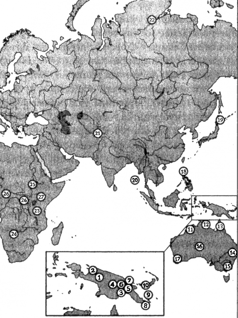 Иллюстрация к книге — Мир позавчера. Чему нас могут научить люди, до сих пор живущие в каменном веке [i_003.jpg]