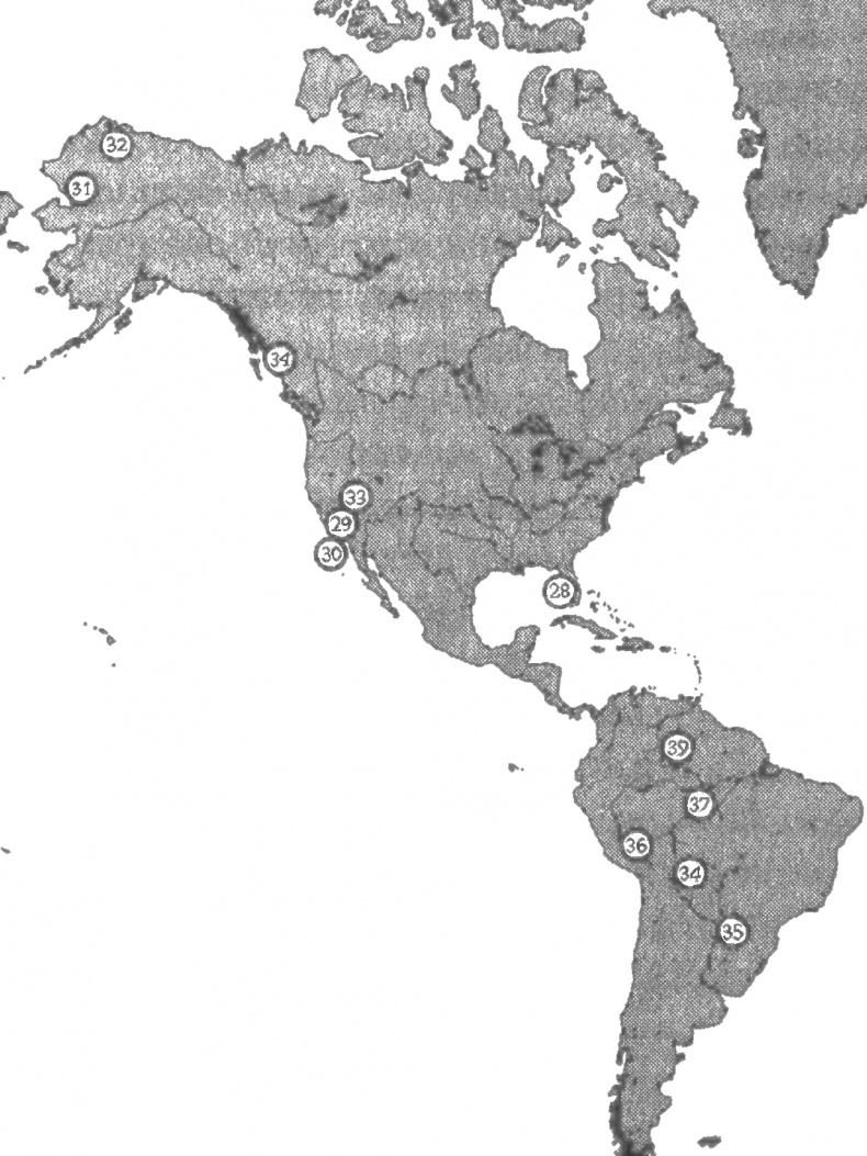 Иллюстрация к книге — Мир позавчера. Чему нас могут научить люди, до сих пор живущие в каменном веке [i_004.jpg]