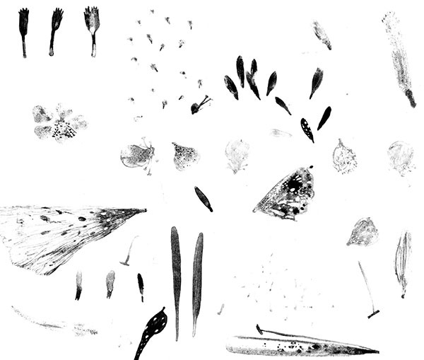 Иллюстрация к книге — Леопард за стеклом [i_001.jpg]