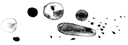 Иллюстрация к книге — Леопард за стеклом [i_009.jpg]