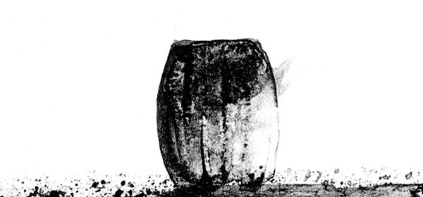 Иллюстрация к книге — Леопард за стеклом [i_019.jpg]