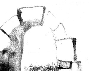 Иллюстрация к книге — Леопард за стеклом [i_034.jpg]