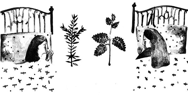 Иллюстрация к книге — Леопард за стеклом [i_039.jpg]