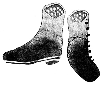 Иллюстрация к книге — Леопард за стеклом [i_052.jpg]