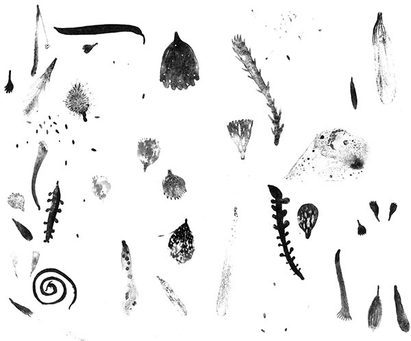 Иллюстрация к книге — Леопард за стеклом [i_063.jpg]