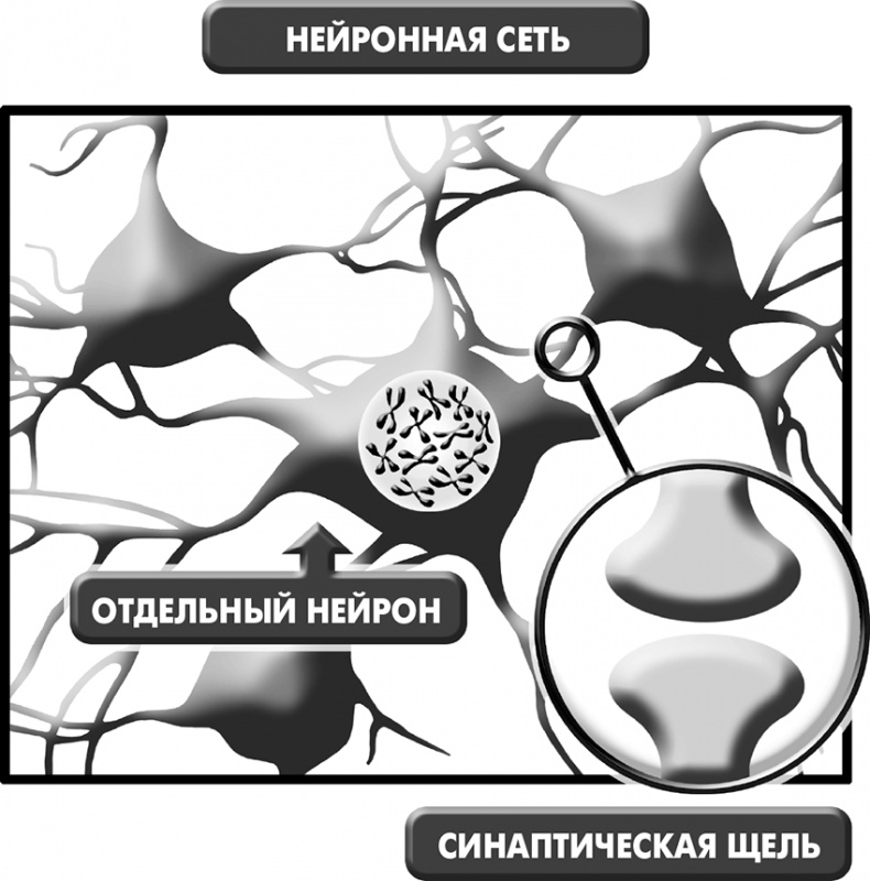 Иллюстрация к книге — Сам себе плацебо: как использовать силу подсознания для здоровья и процветания [i_005.jpg]