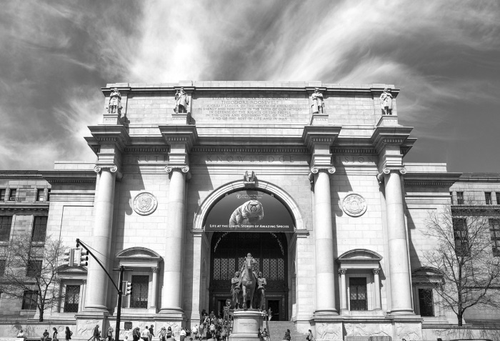 Иллюстрация к книге — Солнце, Луна, Марс [i_015.jpg]