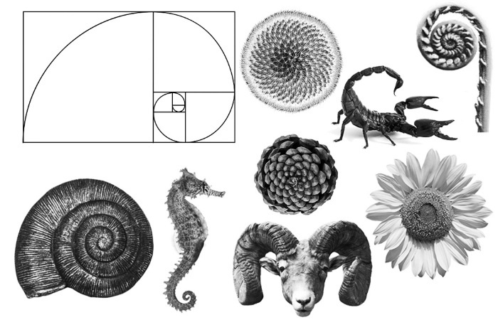 Иллюстрация к книге — Солнце, Луна, Марс [i_027.jpg]