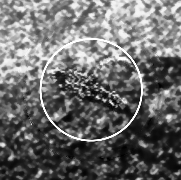 Иллюстрация к книге — Солнце, Луна, Марс [i_031.jpg]